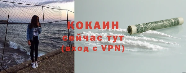 индика Арсеньев