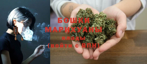 Альфа ПВП Аркадак