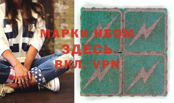 индика Арсеньев