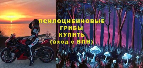 индика Арсеньев