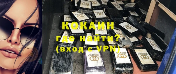 индика Арсеньев