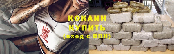 Альфа ПВП Аркадак