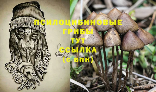 Альфа ПВП Аркадак