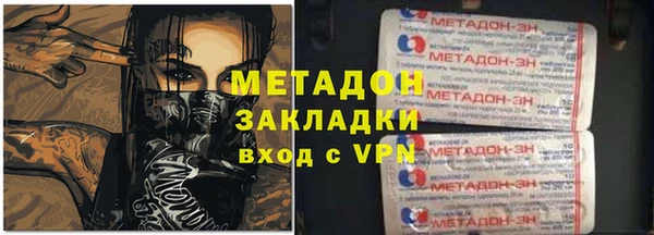 индика Арсеньев