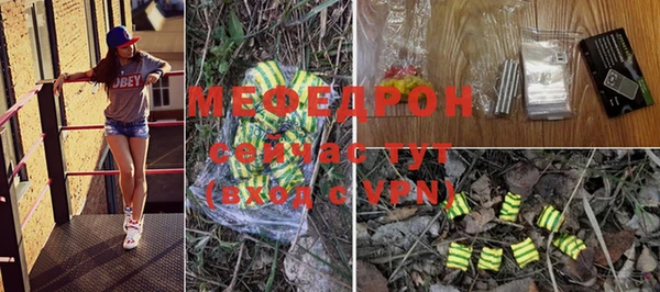 индика Арсеньев