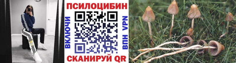 Галлюциногенные грибы Psilocybe  сайты даркнета наркотические препараты  Ряжск 